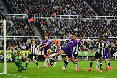 Newcastle United vs Fulham