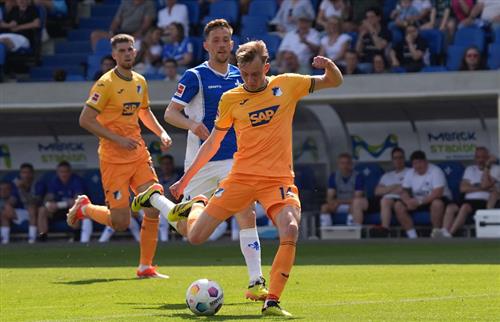 Darmstadt vs TSG Hoffenheim