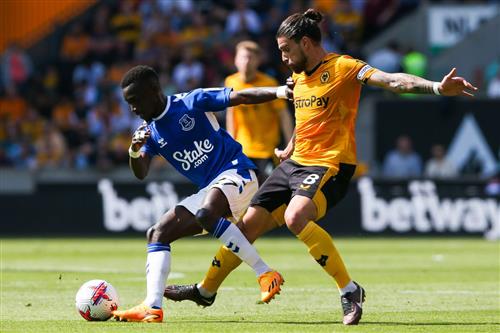 Wolves vs Everton