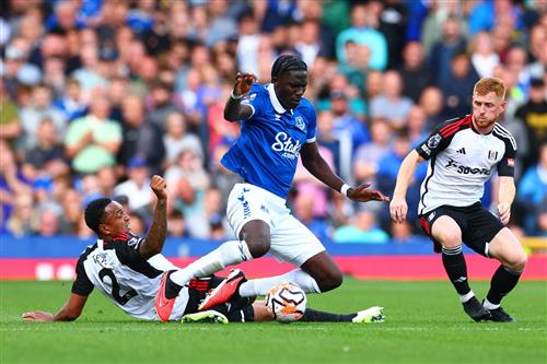Everton vs Fulham